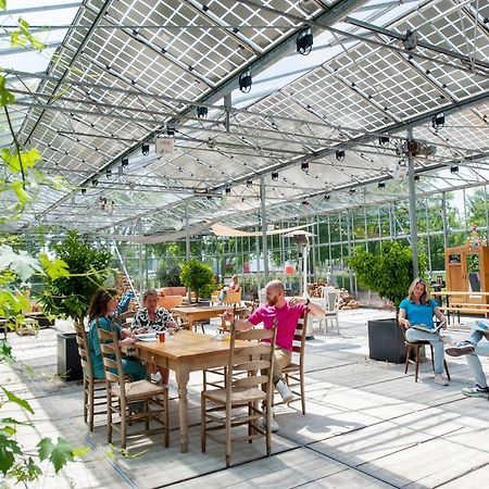 Achterhoeks Goed, Bed & Breakfast In Vragender Exterior photo