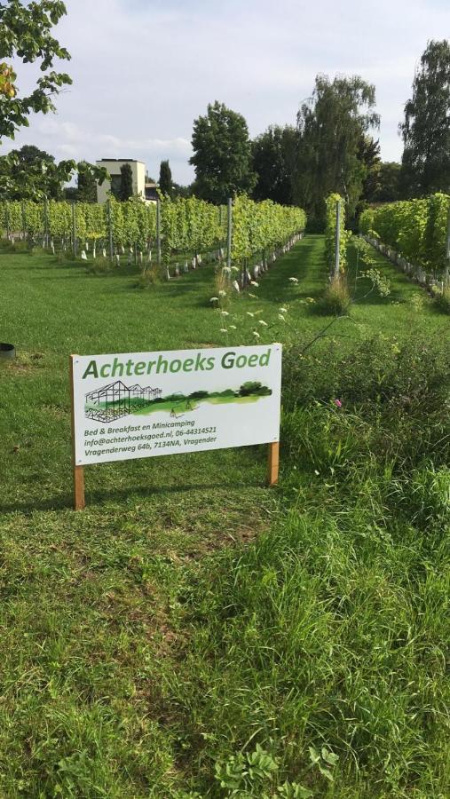 Achterhoeks Goed, Bed & Breakfast In Vragender Exterior photo